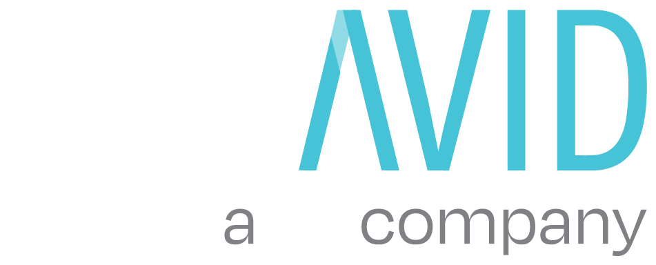Datavid